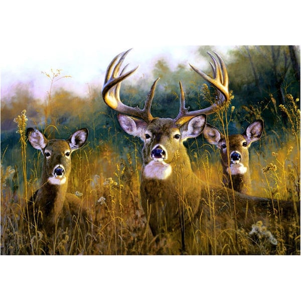 H2H DM 53 door mat size18 X 26 H22548328 - main